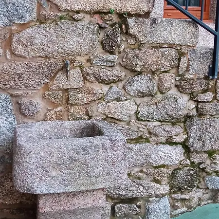 Segunda Ibanez *